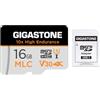 Gigastone [10 x Alta Resistenza] GIGASTONE MLC Micro SD 16GB, 10x High Endurance, 16 GB per Telecamera Sorveglianza, Gopro, Dashcam, Lettura fino a 95 MB/s, Per video 4K, U3 V30 C10 + Adattatore SD