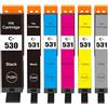 Cartridgeify 6-Pack PGI-530 CLI-531 Cartucce d'inchiostro compatibili per Canon 530 531 Multipack, per TS8750 TS8751 (PGBK/Nero/Ciano/Magenta/Giallo/Grigio)