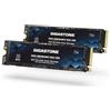 Gigastone SSD 1TB (confezione da 2) M.2 NAS SSD 24/7 Cache ad alta resistenza per archiviazione collegata alla rete Business Data Center Personal Cloud PCIe 3.0 NVMe NAS Unit? a stato solido interna