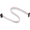 DMiotech 5pz Lungo 30CM 2MM Flat Nastro Cavo IDC 14 Pin Connettore