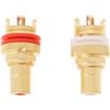 Create idea 2 Pezzi In Rame Placcato Oro Con Velocità Di Conduzione Rapida Amplificatore Audio Femmina RCA Bilanciato E Trasparente Presa Di Loto Terminale Audio AV Connettore Audio