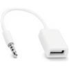 Annadue Adattatore USB a Aux - Cavo Convertitore da USB Femmina a Jack Maschio 3,5 Mm per Auto