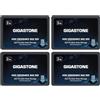 Gigastone SSD 2TB NAS SSD Disco (set da 4) 24/7 Alta Resistenza TLC business RAID Sync Cloud Dati Backup Network Attached Storage Cache SATA III 2,5 Pollici Unit? a stato solido interno