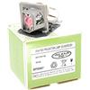 Alda PQ Premium, lampada per proiettore compatibile con i proiettori ACER H5360, H5360BD, EC.K0700.001, lampada con custodia