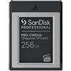 SanDisk Professional SanDisk Scheda professionale PRO-CINEMA CFexpress VPG400 Tipo B fino a 1700 MB/s