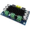 Fasizi DC 12V-24V TPA3116 D2 100W Mono Canale Amplificatore di Potenza Audio Digitale per Auto