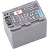 DSTE NP-FP90 Batteria Compatibile per Sony DCR-HC16, DCR-HC18, DCR-HC20, DCR-HC21
