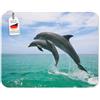 Edition Colibri DELFINI Tappetino per mouse (24 x 19 cm), molto resistente allo strappo, con una forte base adesiva per una presa ottimale - compatibile con tutti i tipi di mouse