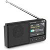 SPC Jetty Lite DAB+ | Radio portatile DAB+/FM RDS | 80 stazioni preimpostate | Display a colori TFT 2,4 | Bluetooth e jack per cuffie | Durata batteria fino a 7 ore | Sveglia e funzione snooze - Nero