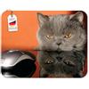 Edition Colibri Simpatico tappetino per il mouse KATZE UND MAUS - GRUMPY CAT (MOTIVO 51 - GATTO), di qualità, in gomma speciale ad altissima resistenza, lato inferiore ad elevata adesione per una tenuta ottimale, compatibile con tutti i tipi di mouse
