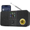 MangoKit SR20 Internet Radio con WIFI,radio DAB portatile con altoparlante Bluetooth,lettore di podcast,radio FM,radio da cucina a rete e a batteria,suono stereo,display a colori,doppio allarme-Nero