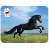 Edition Colibri CAVALLO NERO Tappetino per mouse, molto resistente allo strappo, con una forte base adesiva per una presa ottimale - compatibile con tutti i tipi di mouse (24 x 19 cm)