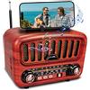 BliMySwe Radio Portatile Bluetooth 5.0 con Altoparlante Grande 5W - Piccola Radiolina AM/FM/SW con Funzioni USB/TF/AUX, Colore (Oro)