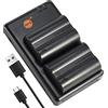DSTE 2PCS PS-BLM1 BLM-1 (2100mAh/7.4V) Batteria & Caricatore Compatibile per Olympus C-5060, C-7070, C-8080, E-1, E-3, E-30, E-520, E-300, E-330, E-500, E-510