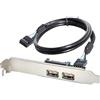chenyang 2 porte USB 2.0 Frontpanel Header 9 pin 1 maschio a 2 prese USB 2.0 alloggiamento posteriore porta cavo di prolunga 30 cm con supporto slot PCI-E da 120 mm