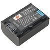 DSTE NP-FV50 Batteria di ricambio Compatibile per Sony HDR-CX330 HDR-CX350E HDR-CX360E HDR-CX380 HDR-CX430V HDR-CX550E HDR-CX580E