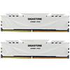 Gigastone 【DDR4 RAM】GIGASTONE Game PRO 32GB Kit(2x16GB) DDR4 3200MHz PC4-25600 CL 16-18-18-40 XMP 2.0 AMD Ryzen 1.35V UDIMM 288pin Unbuffered Non ECC Ideale PC Desktop alta prestazione Memoria-Bianco