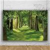 ASDCXZ Sfondo Fotografico Foresta 2.2x1.5 m, Verde Bosco Giungla Sole Paesaggio Naturale Vinile Fotografia Sfondo per Bambini Selvaggio 1° Compleanno Feste Decorazioni All'aperto Avventura Banner