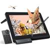 XP-Pen XPPen Artist Pro 16 2nd Tavoletta grafica con schermo 16 pollici, penna passiva 16K(16384) livelli di pressione, Telecomando wireless di scelta rapida incluso, Supporto pieghevole integrato