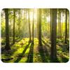 m. Kern - Tappetino per il mouse, motivo: foresta, plastica, multicolore, 24,x19 cm