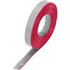 QUARKZMAN Cavo a Nastro Piatto IDC da 28AWG Lunghezza 3 m/9.8ft Passo 1mm 10 Pin Grigio per Collegamento JTAG/ISP