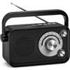 Tendak Radio Portatile FM/AM/SW, Radiolina Portatile con Eccellente Ricezione, Alimentata da Batterie o Alimentazione, Radioline Portatili con Bluetooth, Jack per Cuffie, TF/USB