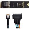 xiwai NGFF M-Key Adattatore da NVME a SFF-8654 Slimline SAS e cavo SSD U.2 U2 SFF-8639 NVME PCIe per SSD della scheda madre