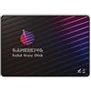 GamerKing Unità SSD 2.5 SATA3 64GB Interno Disco Rigido 1to 512GB 256GB 128GB Ad Alta Prestazioni per Notebook SATA III 6Gb/s Il Desktop (64 GB, 2,5 SATA3)