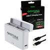 PATONA Dual Caricabatterie USB-C box per DJI Osmo Action 3 4 5 6 BCX202