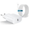 Weayege Caricatore di ricarica rapida per iPhone 16/16 Pro/16 Pro Max/16 Plus/15/15 Pro/15Pro Max/15 Plus/iPad Pro/iPad Air, 30W USB C,Adattatore di alimentazione con cavo da 6FT