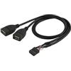 NFHK Cavo adattatore USB 9 pin 10 pin scheda madre femmina a doppio USB 2.0 femmina, 50 cm