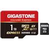 Gigastone 【Progettato per Switch 2】GIGASTONE microSDXC Express 1TB, SD 7.1, R/W fino a 800/650 MB/s, A1 V30 U3, compatibile con Nintendo Switch 2 e fotocamere professionali, con adattatore SD.