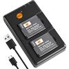 DSTE Set di 2 caricabatterie DMW-BCM13E DMW-BCM13PP (1800 mAh/3,7 V) compatibile con Panasonic Lumix DMC-LZ40, DMC-TZ40, DMC-TZ55, DMC-TZ60, DMC-ZS27, DMC-ZS30, DMC-ZS35, DMC-ZS40, DMC-ZS50
