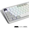 LQXQ Keycaps a Basso Profilo 143, PBT Keycaps 75 Percento Brillare Attraverso, Keycaps Dimensioni Complete per ANSI US 60% 65% 75% 80% 100% Cherry Gateron MX Switch tastiera meccanica, Grigio/Bianco