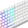 LQXQ Pudding Keycaps PBT, 130 Tasti Tastiera, Brillare Attraverso, Profilo OEM per 100%, 75%, 65%, 60% MX-stem Interruttori Tastiere - Bianco