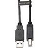Keple Stampante Laser Scanner Cavetto USB 2.0 Maschio A Maschio B Cavo Compatibile con HP ENVY 4520 / 4524 / 5540 / 5640 / Deskjet 1110 (F5S20B) / 1512 / 2130 / 2130 (F5S40B) / 3630 / 3632 / 3636 / 3637 1m