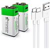 Lankoo Batteria agli ioni di litio USB 9 V, ad alte prestazioni, 650 mAh, 9 V, 1,5 ore di ricarica rapida, 1200 cicli con cavo di collegamento tipo C, 2 pezzi