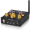 Nobsound Douk Audio HiFi, Bluetooth 5.0, tubo preamplificatore, USB, DAC, APTX, per cuffie, amplificatore stereo