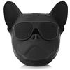 Goshyda Mini Altoparlante Bluetooth, Lettore Musicale Stereo Portatile a Forma di Cane di Altoparlante Wireless Bluetooth Musicale, Ampia Memoria con 32G