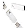 zoyuzan Adattatore da USB C a Lightning per Apple Pencil 1 Generazione Accessori USB-C Caricatore per Ipad Connettore Prima Generazione Type C Caricabatterie Adattatori