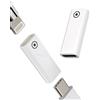 zoyuzan Adattatore da USB C femmina a Lightning femmina Apple Pencil 1° Generation Charger Accessoire(confezione da 2) iPad Pro Stylus Pen Type Charge Certificato MFI 1 Generazione Ipencil Thunderbolt 4 Jack