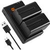 DSTE 2PCS NP-F730 NP-F750 Batteria & Caricatore Compatibile per Sony CCD-TRV815, DCR-TRV9, CCD-TR3, CCD-TRV82, DCR-TRV900, CCD-TR3000, CCD-TRV85, DCR-VX200, CCD-TR3300