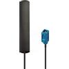 Panlouting Universale Antenna per Auto con Connettore Fakra C | Auto Antenna Bluetooth WiFi Cellulare 4G LTE | 7dBi 2,4GHz | Amplificazione del Segnale per Carplay | 3 Metri