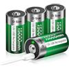 Palogreen Batteria USB D al litio/15000 mWh - 1,5 V, batterie ricaricabili USB D, ricarica rapida in 4 ore, con cavo di ricarica di tipo C (4 pezzi)