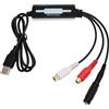 Goshyda Scheda di Acquisizione Audio USB 2.0, Dispositivo di Acquisizione Audio Stereo a Doppio Canale, con Software di Editing Audio Professionale per Audacity