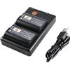 DSTE Confezione da 2 batterie e caricabatterie micro USB doppio compatibile con fotocamera DMW-BLK22 e Panasonic DC-S5 DC-S5KK GH6 Lumix DC-G9 II, batteria Sigma BP-61 come DMW-BTC15
