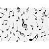 BELECO 2.1x1.5m Sfondo per note musicali in tessuto Nota musicale Modello scarabocchio musicale Sfondo bianco e nero Servizio fotografico di compleanno Decorazioni per feste a tema musicale