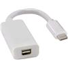 zdyCGTime cavo da USB C3.1 a mini dp/Displayport,convertitore da maschio di tipo C a femmina DP 4K@60Hz,Cavo audio video da USB C a DP,Compatibile con tablet telefono USB-C.(Bianca/1Pezzo)