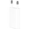 Co2 Caricatore USB C 5 W caricatore rapido USBC cellulare adattatore alimentatore di rete per iPhone 16 15 14 Pro Max 13 12 11 SE 2020 XS XR 8 7 Fast Charger PD spina di ricarica adattatore di