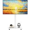 CNTSLNB Carrello per TV da 10 a 42 pollici, LCD, LED, OLED, Plasma, altezza regolabile, carrello TV da pavimento con rotazione del pannello di 90°, supporto mobile per TV su ruote, capacità di carico 30 kg